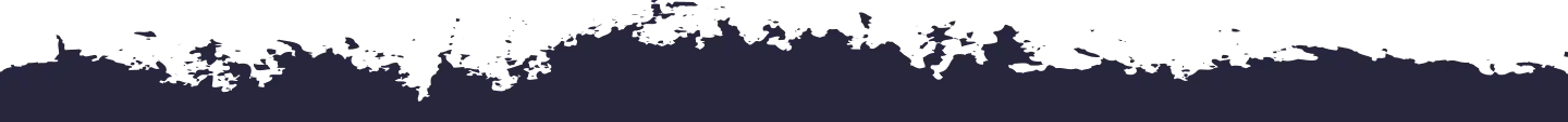 Footer image